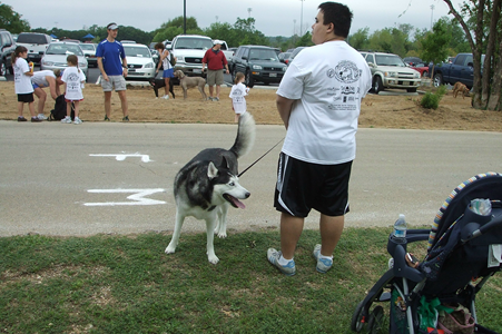 Hound Dog Hustle 2009 22.JPG